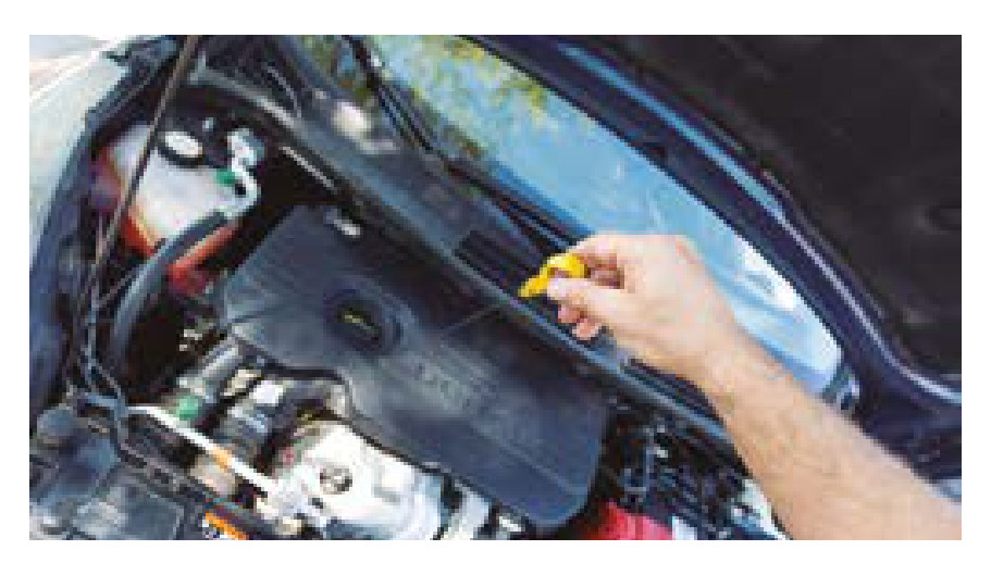 Oil and coolant